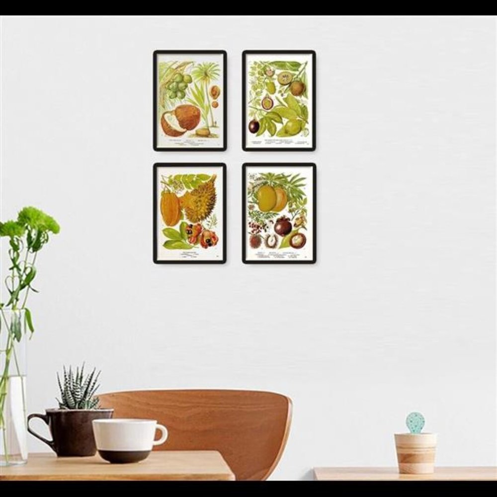 Caribbean Island Jamaica Fruits Botanical Wall Art Prints Set of 4